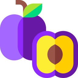 Plum icon