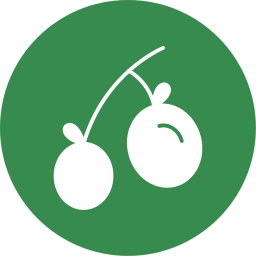 aceitunas icono