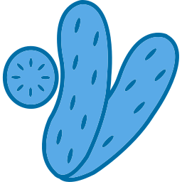 Cucumber icon