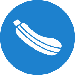 Zucchini icon