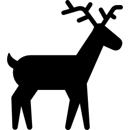 Wild Deer icon