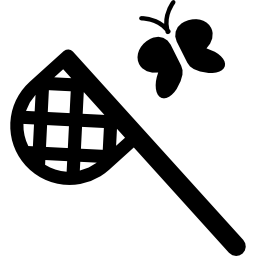 Butterfly catcher icon