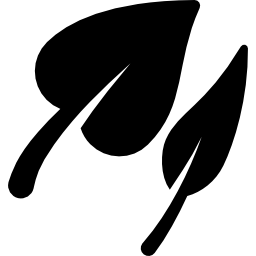 두 나무 잎 icon