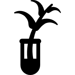 muestra de planta icono