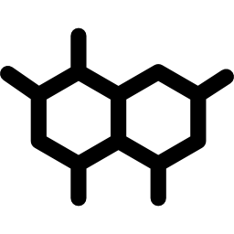 les neurones Icône