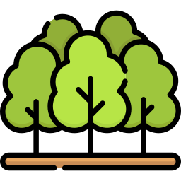 wald icon