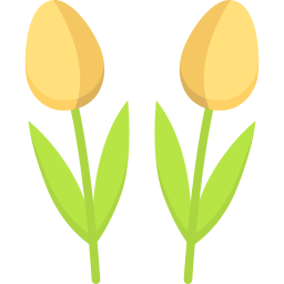 Tulips icon