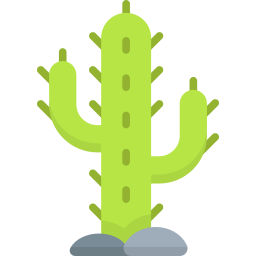 cactus icoon