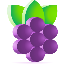 Boysenberry icon