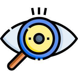 Vision icon