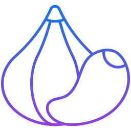 Garlic icon