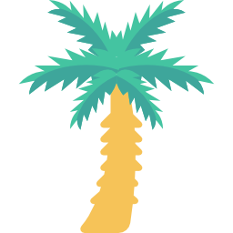 Coconut tree icon