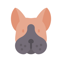boston-terrier icon