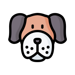 Boxer icon