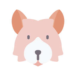perro pastor de shetland icono
