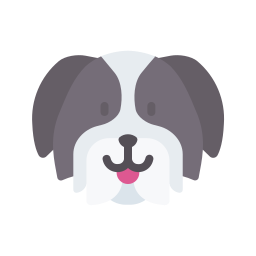 shih tzu icon