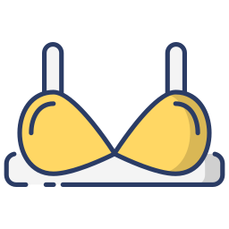 Bra icon