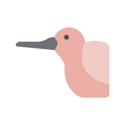 Bird icon