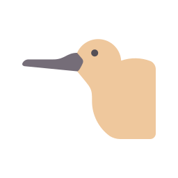 Kiwi icon