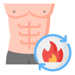 Metabolism icon