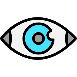 Eye icon