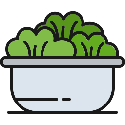 Salad icon