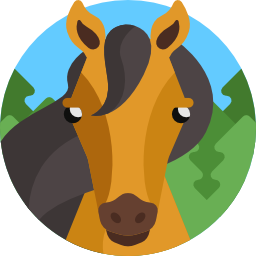 Horse icon