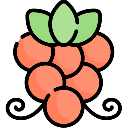 Grapes icon