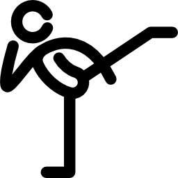 Кикбоксинг иконка