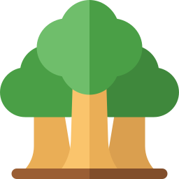 Cinnamon tree icon