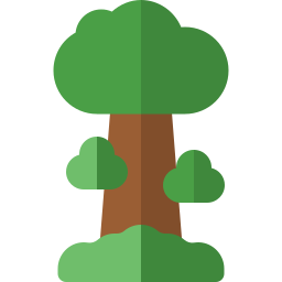 séquoia Icône