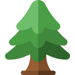 Fir icon