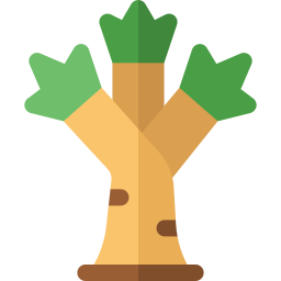 Árbol de joshua icono