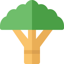 용 나무 icon