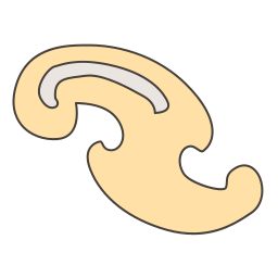 Curve ribbon icon