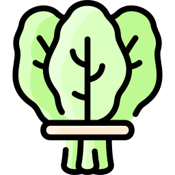 Spinach icon