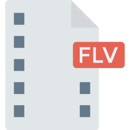 flv icon