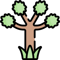 arbre de josué Icône