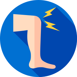 knie icon