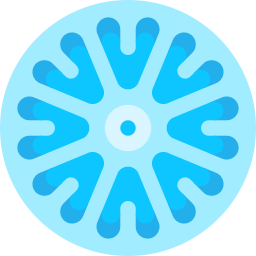 Centric diatom icon