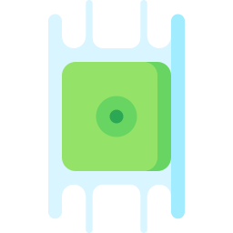 渦鞭毛藻ビドゥルフィア・レジア icon