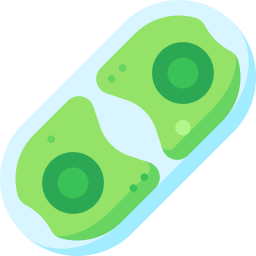 cylindrocystis icon