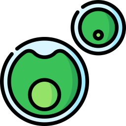 Chlorella vulgaris icon