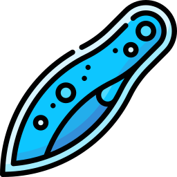 Paramecium icon