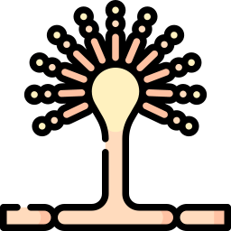 アスペルギルス icon