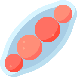 白癬菌 icon