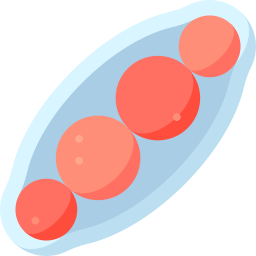 Trichophyton mentagrophytes icon