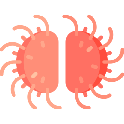 neisseria gonorrhoeae icon
