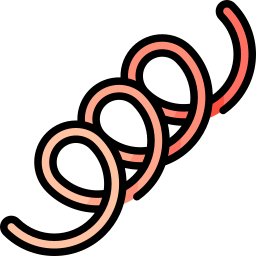 梅毒トレポネーマ icon