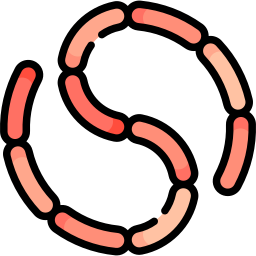Bacillus icon